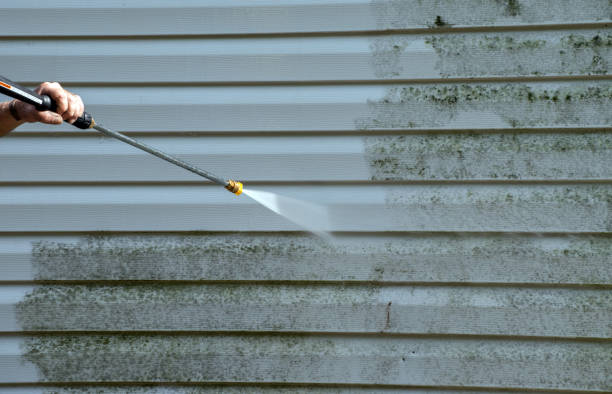 Trusted Palmetto Estates, FL Pressure Washing Experts